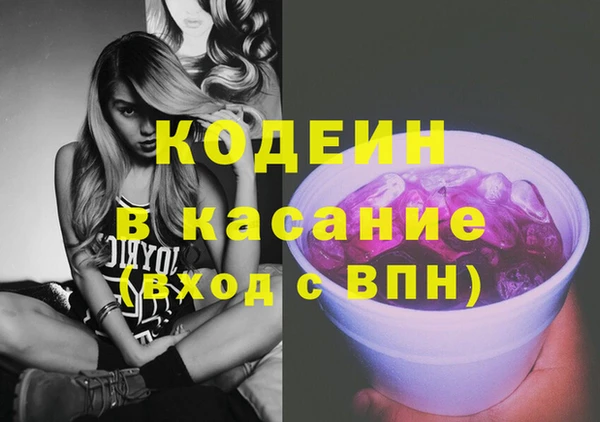 шишки Богородск